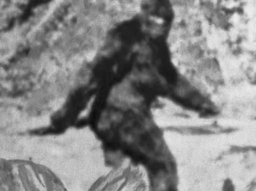 Patterson-Gimlin Bigfoot